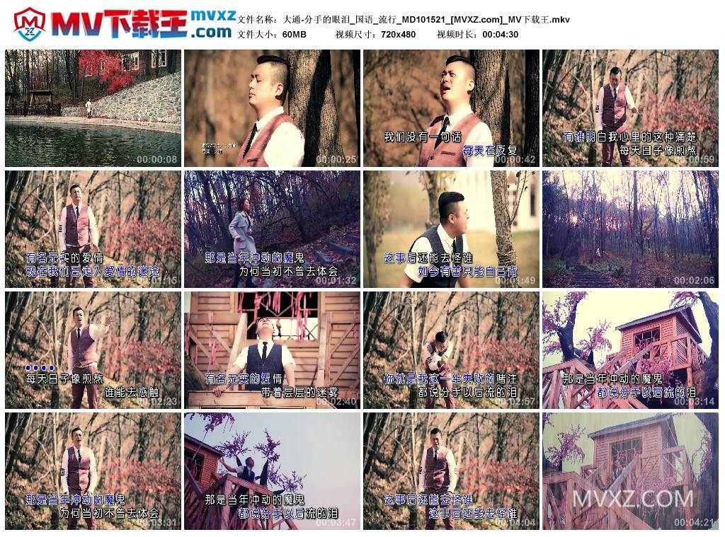 大通-分手的眼泪_国语_流行_MD101521